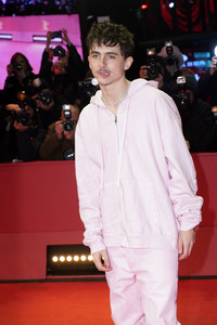 Filmpremiere 'Like A Complete Unknown', Berlinale 2025