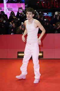 Filmpremiere 'Like A Complete Unknown', Berlinale 2025