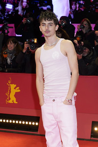 Filmpremiere 'Like A Complete Unknown', Berlinale 2025