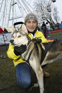 Kennenlernen der Hunde bei den Baltic Lights 2025 auf Usedom