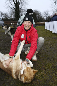 Kennenlernen der Hunde bei den Baltic Lights 2025 auf Usedom