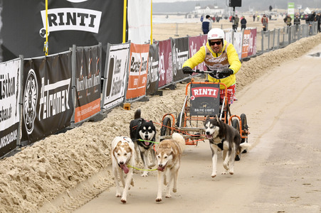 Baltic Lights 2025 Schlittenhunderennen auf Usedom