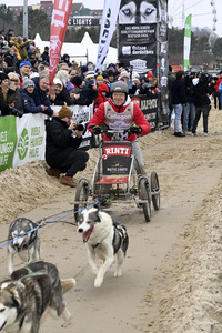 Baltic Lights 2025 Schlittenhunderennen auf Usedom