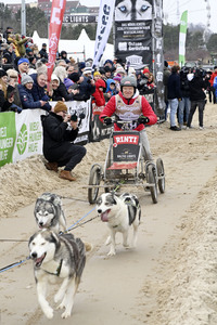 Baltic Lights 2025 Schlittenhunderennen auf Usedom