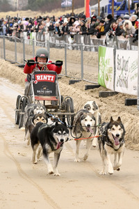 Baltic Lights 2025 Schlittenhunderennen auf Usedom