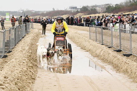 Baltic Lights 2025 Schlittenhunderennen auf Usedom