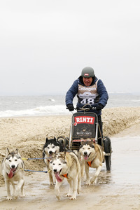 Baltic Lights 2025 Schlittenhunderennen auf Usedom