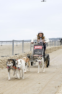 Baltic Lights 2025 Schlittenhunderennen auf Usedom