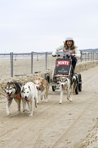 Baltic Lights 2025 Schlittenhunderennen auf Usedom