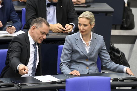 213. Sitzung des Deutschen Bundestages in Berlin