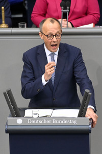 213. Sitzung des Deutschen Bundestages in Berlin