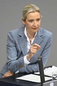 213. Sitzung des Deutschen Bundestages in Berlin