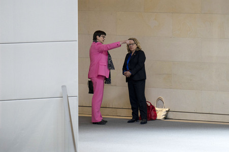 213. Sitzung des Deutschen Bundestages in Berlin