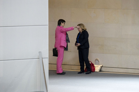 213. Sitzung des Deutschen Bundestages in Berlin