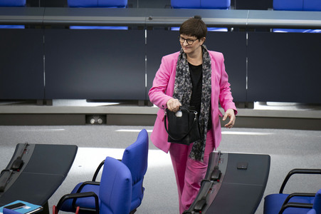 213. Sitzung des Deutschen Bundestages in Berlin