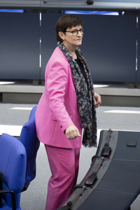 213. Sitzung des Deutschen Bundestages in Berlin