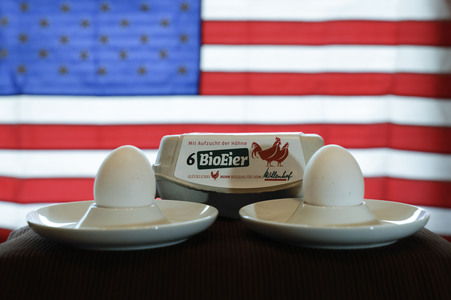Symbolfoto Eier-Engpass in den USA