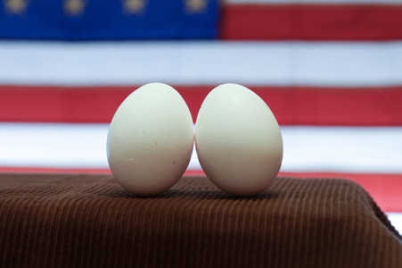 Symbolfoto Eier-Engpass in den USA