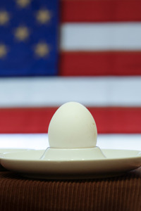 Symbolfoto Eier-Engpass in den USA