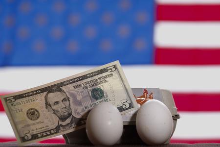 Symbolfoto Eier-Engpass in den USA