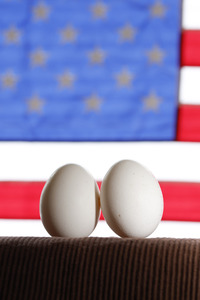 Symbolfoto Eier-Engpass in den USA