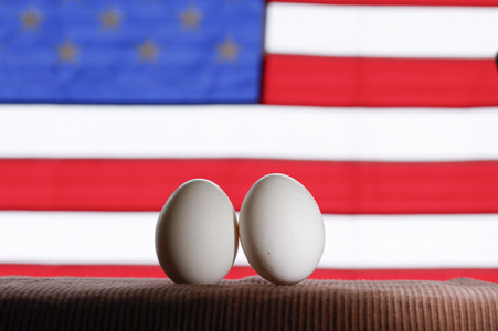Symbolfoto Eier-Engpass in den USA