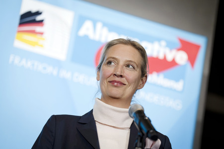 Fraktionssitzung der AfD-Bundestagsfraktion in Berlin