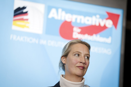 Fraktionssitzung der AfD-Bundestagsfraktion in Berlin