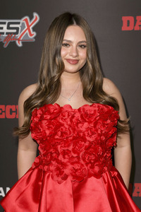 Filmpremiere 'Day of Reckoning' in Burbank