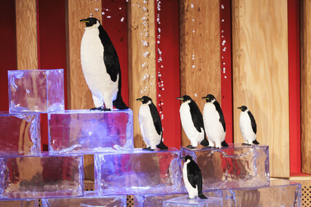 Eckart von Hirschhausen auf der lit.Cologne 2025 in Köln