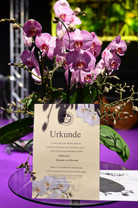 Taufe einer Orchidee auf den Namen 'Suzanne von Borsody' in Dresden