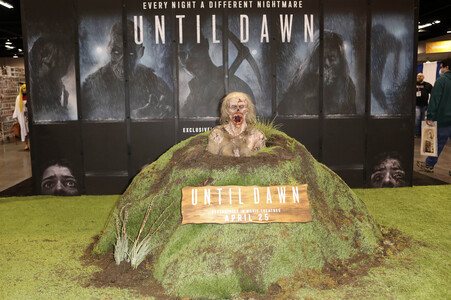 WonderCon 2025 in Anaheim