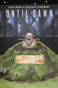 Photocall 'Until Dawn', WonderCon 2025 in Anaheim