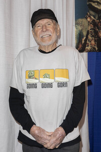 WonderCon 2025 in Anaheim