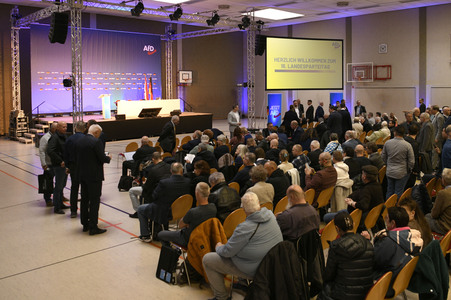 Parteitag der Berliner AfD in Jüterbog