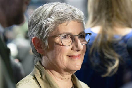 Länderrat von Bündnis 90/Die Grünen in Berlin