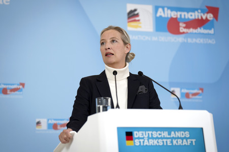 Pressestatement der AfD in Berlin