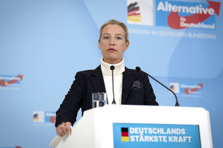 Pressestatement der AfD in Berlin