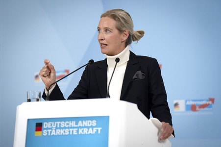 Pressestatement der AfD in Berlin
