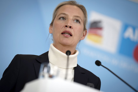 Pressestatement der AfD in Berlin