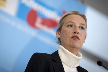 Pressestatement der AfD in Berlin