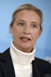 Pressestatement der AfD in Berlin