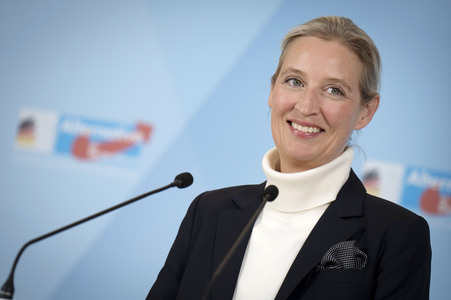 Pressestatement der AfD in Berlin