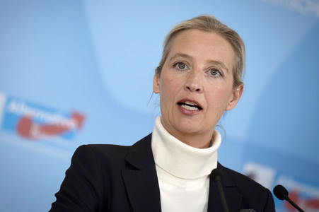 Pressestatement der AfD in Berlin