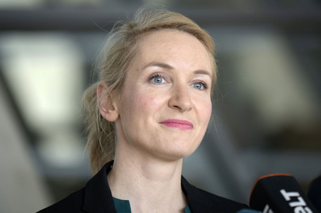 Pressestatement der Partei Die Linke in Berlin