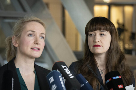 Pressestatement der Partei Die Linke in Berlin