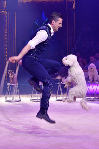 Circus Krone Premiere 'Farbenspiel - Gold Edition' in München