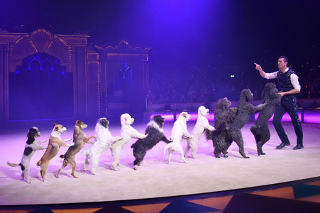 Circus Krone Premiere 'Farbenspiel - Gold Edition' in München