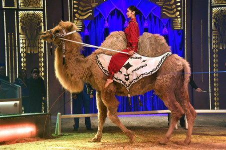 Circus Krone Premiere 'Farbenspiel - Gold Edition' in München