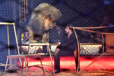 Circus Krone Premiere 'Farbenspiel - Gold Edition' in München